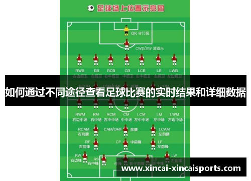 如何通过不同途径查看足球比赛的实时结果和详细数据