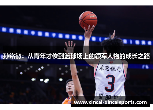孙铭徽：从青年才俊到篮球场上的领军人物的成长之路